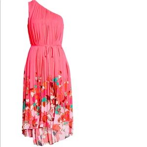 Ted Baker Pinata Floral Pleated Dress